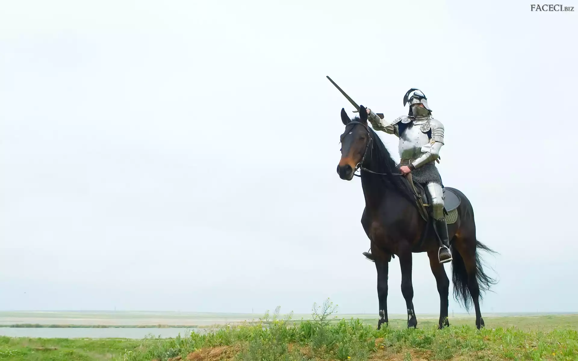 Koń, Rycerz, Zbroja